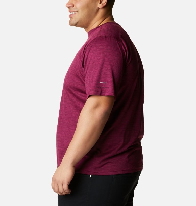 Men's Columbia Alpine Chill Zero Short Sleeve Crew T Shirts Fuchsia | Plus Size CA-LL3C6